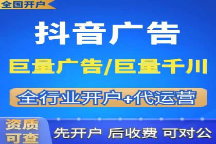 百度竞价与搜索引擎优化（SEO）结合的经典案例